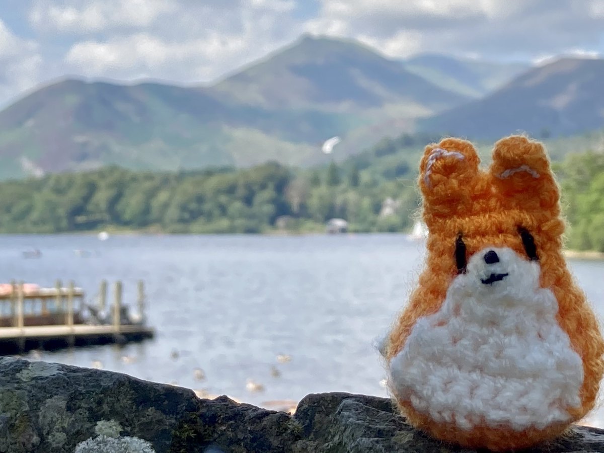 🐾NEW blog🐾 Francine the Fox 🦊tells us all about her #adventure drawing in the #lakedistrict 🎨 

Read her story here: outwithanimals.wordpress.com/2023/06/07/fra…

#charity #children #story #storytime #storytelling #childrensstory #childrenscharity #outwithanimals #volunteer