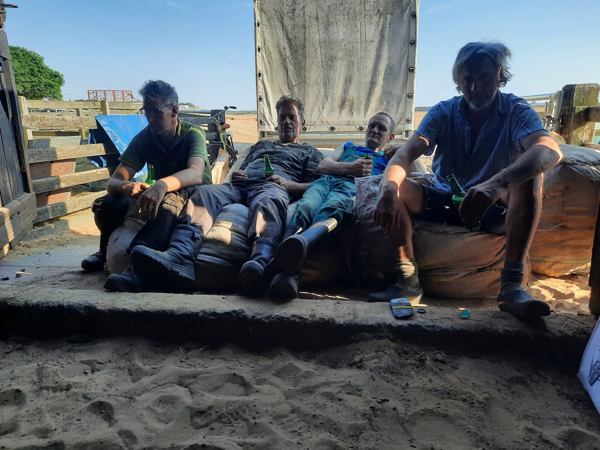 vd_blaak's tweet photo. Na gedane arbeid is het even relaxen. Schaapscheren deel 2. #schaapscheren @Edese_Schapen https://t.co/GmA3AdwCu2