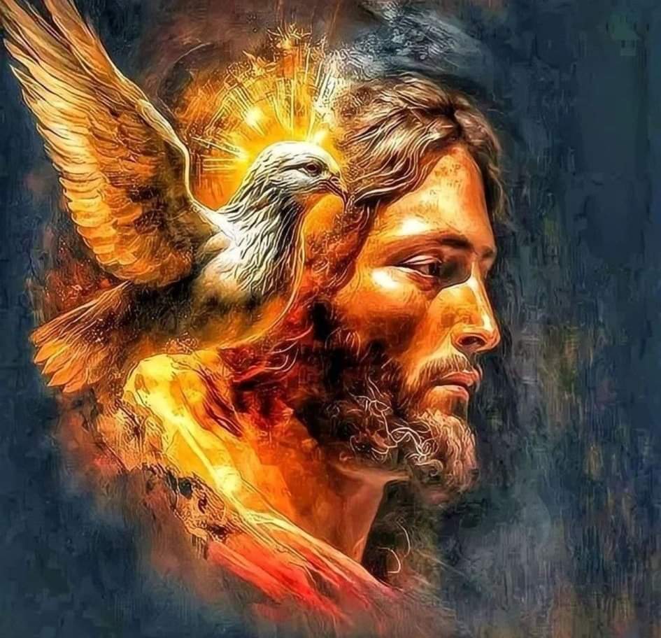 ولا بيكافئك علشان "حلاوتك"، ولا بيعاقبك علشان "وحاشتك" هو صالح بدون أسباب ❤