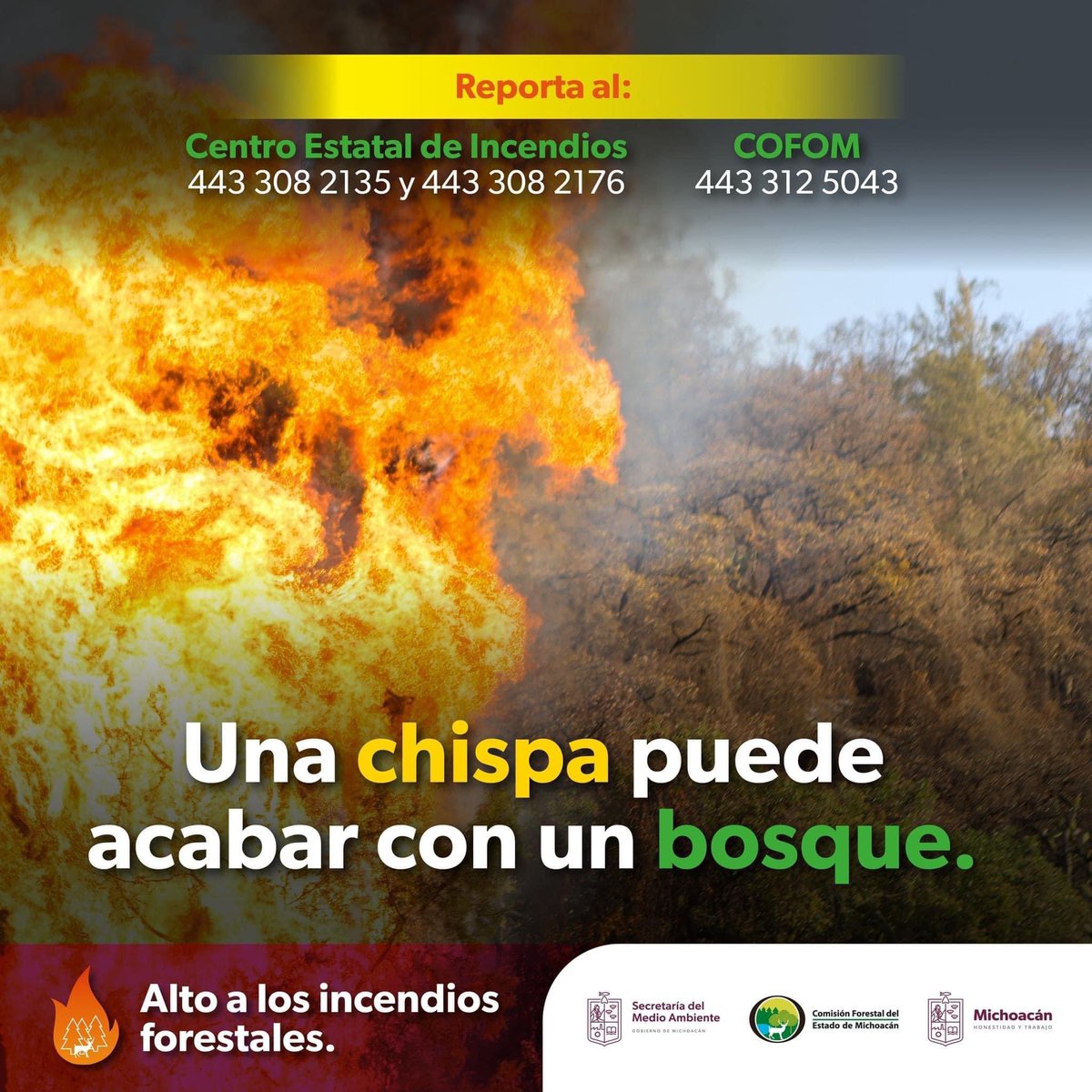 Cuidar de nuestros recursos naturales es tarea de todas y todos.
Denuncia incendios a los teléfonos:
☎️ (443) 308 2135, (443) 3082136 y (443) 125 043.

#ALTOalosIncendiosForestales #MedioAmbienteMichoacán