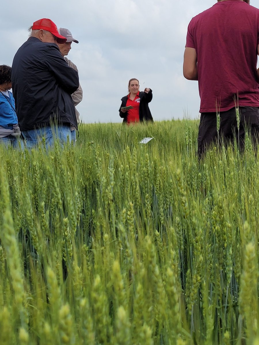 Wheat field days are under way this week. We will be at McCook this afternoon and at the High Plains Ag Lab in the morning. Come see us!