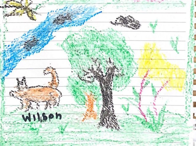 Good news. The older children rescued from the jungle have been strong enough to draw. Their pictures feature a dog, believed to be Wilson, that they say spent time with them and remains missing in the jungle. Pics courtesy of Colombia military.