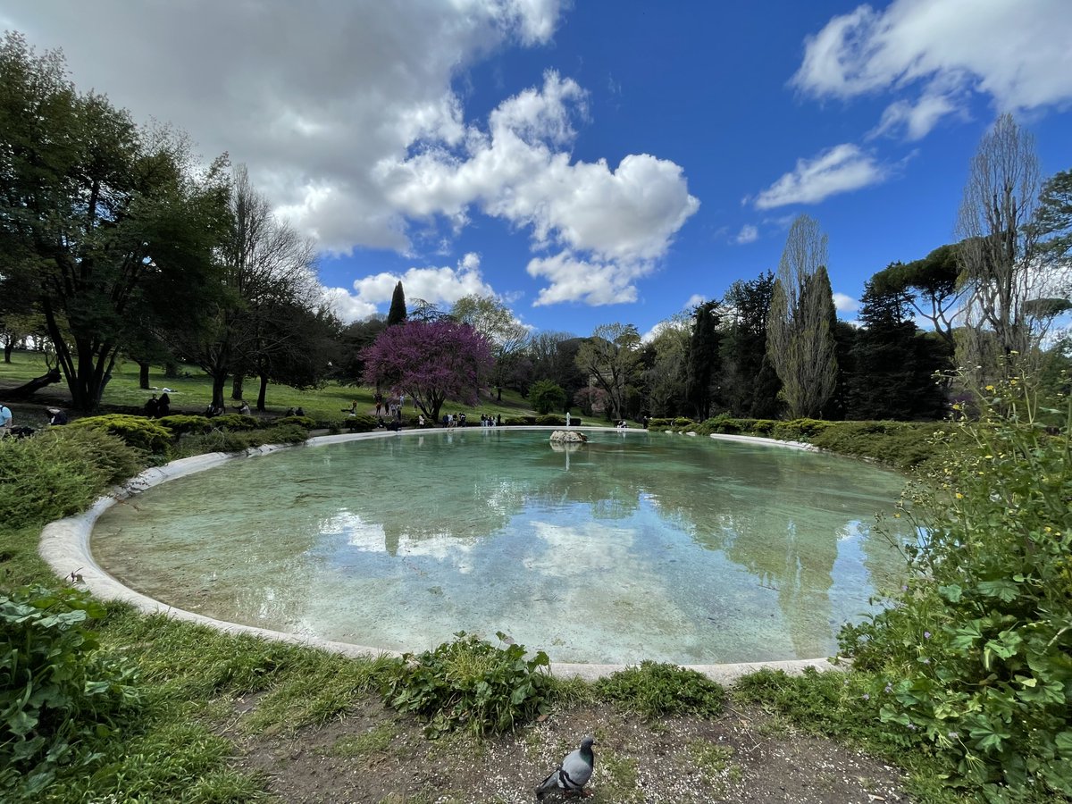 PARCO DI VILLA BORGHESE
Ho effettuato un piccolo viaggio nel mese di maggio, tre giorni in cui ho visitato la zona di #Roma Nord.
Per descrivere questa zona ho trovato logico iniziare dall’oasi verde del grande #ParcodiVillaBorghese.
facciamoungiroincentro.blogspot.com/2023/06/roma-p…