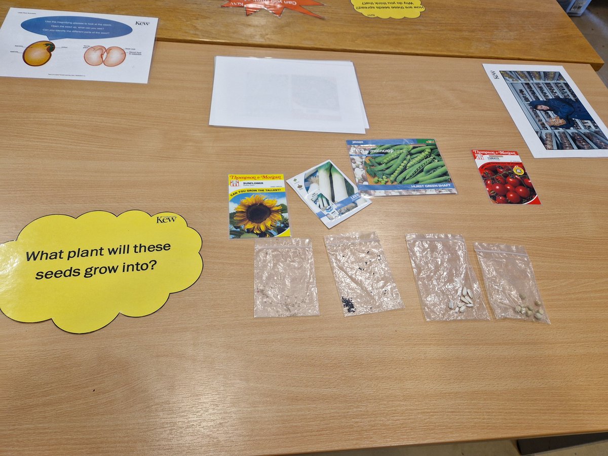 Tweacher (@_teacher_7) on Twitter photo Y2 <a href="/GrangeHarrow/">Grange Primary Harrow #Anti-racism #inclusion</a> had an amazing time <a href="/kewgardens/">KewGardens</a>
They discovered lots of fun facts about #plants #flowers & #pollinators 🌴🌳🌷🌱🌾🪴🌲🌻🌱🌿🌸🍃
🦋🐿🐝🐦 <a href="/GreatSciShare/">Great Science Share for Schools</a> <a href="/pstt_whyhow/">Primary Science Teaching Trust</a> #sciencenews Y2 <a href="/GrangeHarrow/">Grange Primary Harrow #Anti-racism #inclusion</a> had an amazing time <a href="/kewgardens/">KewGardens</a>
They discovered lots of fun facts about #plants #flowers & #pollinators 🌴🌳🌷🌱🌾🪴🌲🌻🌱🌿🌸🍃
🦋🐿🐝🐦 <a href="/GreatSciShare/">Great Science Share for Schools</a> <a href="/pstt_whyhow/">Primary Science Teaching Trust</a> #sciencenews
