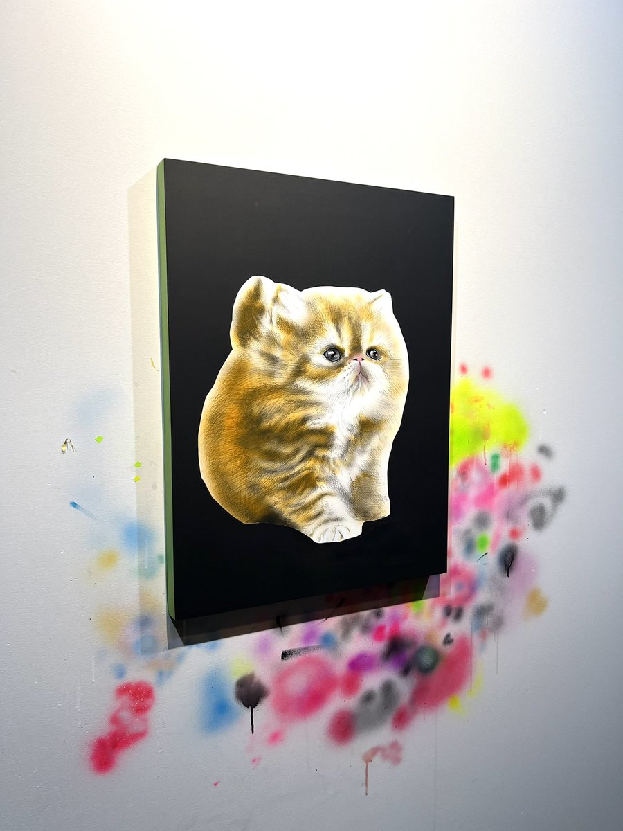 Mieke Marple tweet media