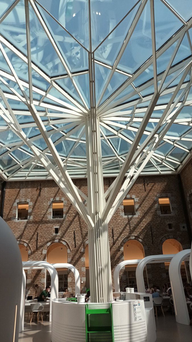 Echange convivial entre l'Ambassadeur J.O. Beriziky, le Professeur P. DUBOIS <a href="/PhilDubois4260/">Philippe Dubois</a>, Recteur de @umons et le Professeur Igor Eeckhaut. Importance du dialogue scientifique entre les établissements supérieurs. Renforcement de la coopération.