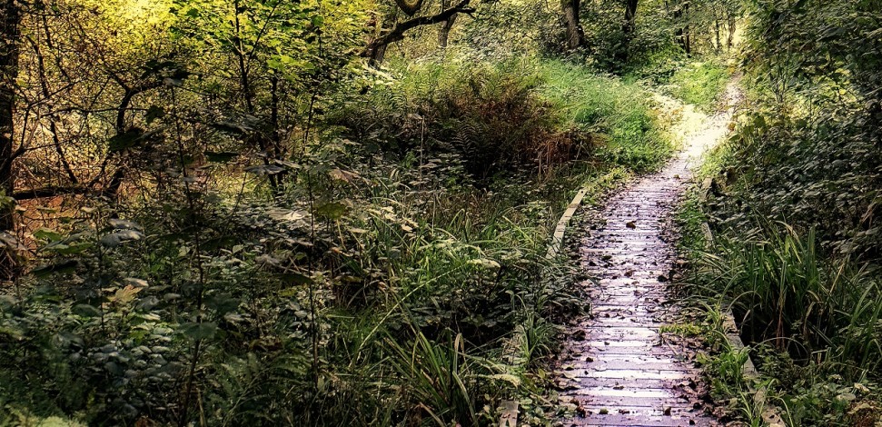 Spirent's tweet image. In theory, #OpenRAN’s plug-and-play promise makes forging a path to this destination a no-brainer. In practice, getting there will take a considerable amount of work to guarantee the desired benefits will be achieved. Learn more. okt.to/xIbRVr
#ORANtesting #ORAN #5G