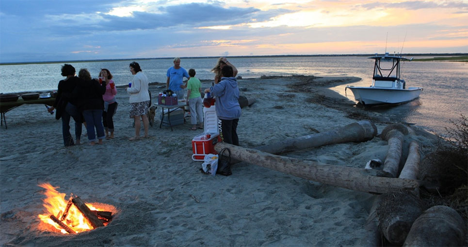 Next Tribe tweet media