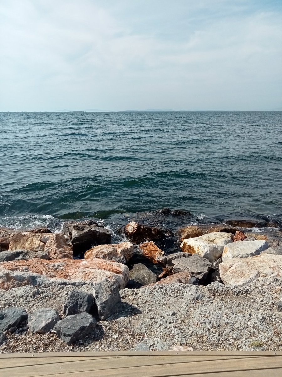 duzgun bi fotograf olsun sinekten onceki