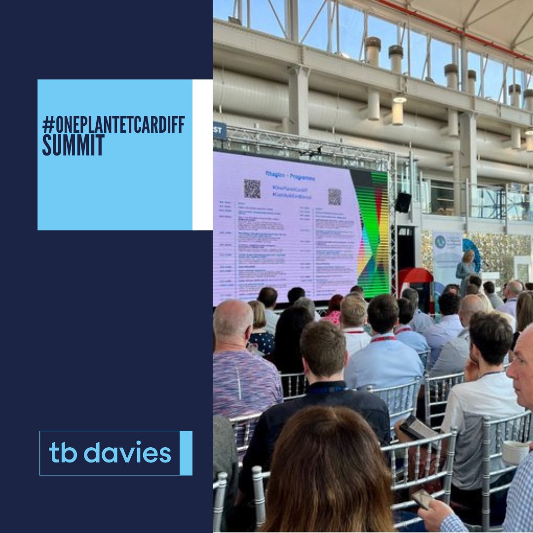 TB Davies tweet media