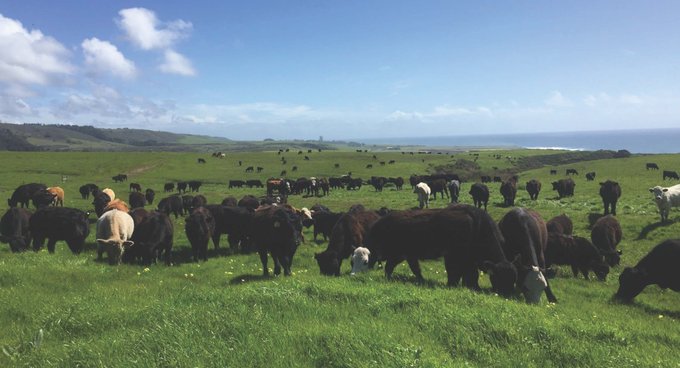 Don't miss the How Do California Rangelands Store Carbon? webinar to learn the latest in soil carbon dynamics. Please register by 6/14:  spranch.calpoly.edu/Carbon_Storage…