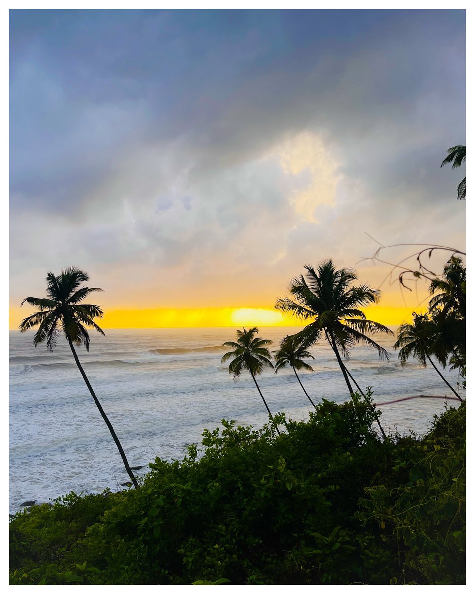nitishyaar's tweet photo. goa dump 🏝️🌊☀️ https://t.co/FHscccFsDv