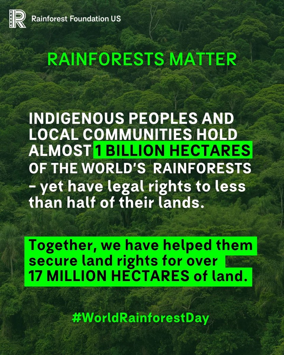 #IndigenousPeoples and Local Communities hold almost 1 BILLION HECTARES of the world’s tropical forests – yet have legal rights to less than half of their lands. 
✊🏿Together, we have helped them secure land rights for over 17 MILLION HECTARES of land.

#WorldRainforestDay