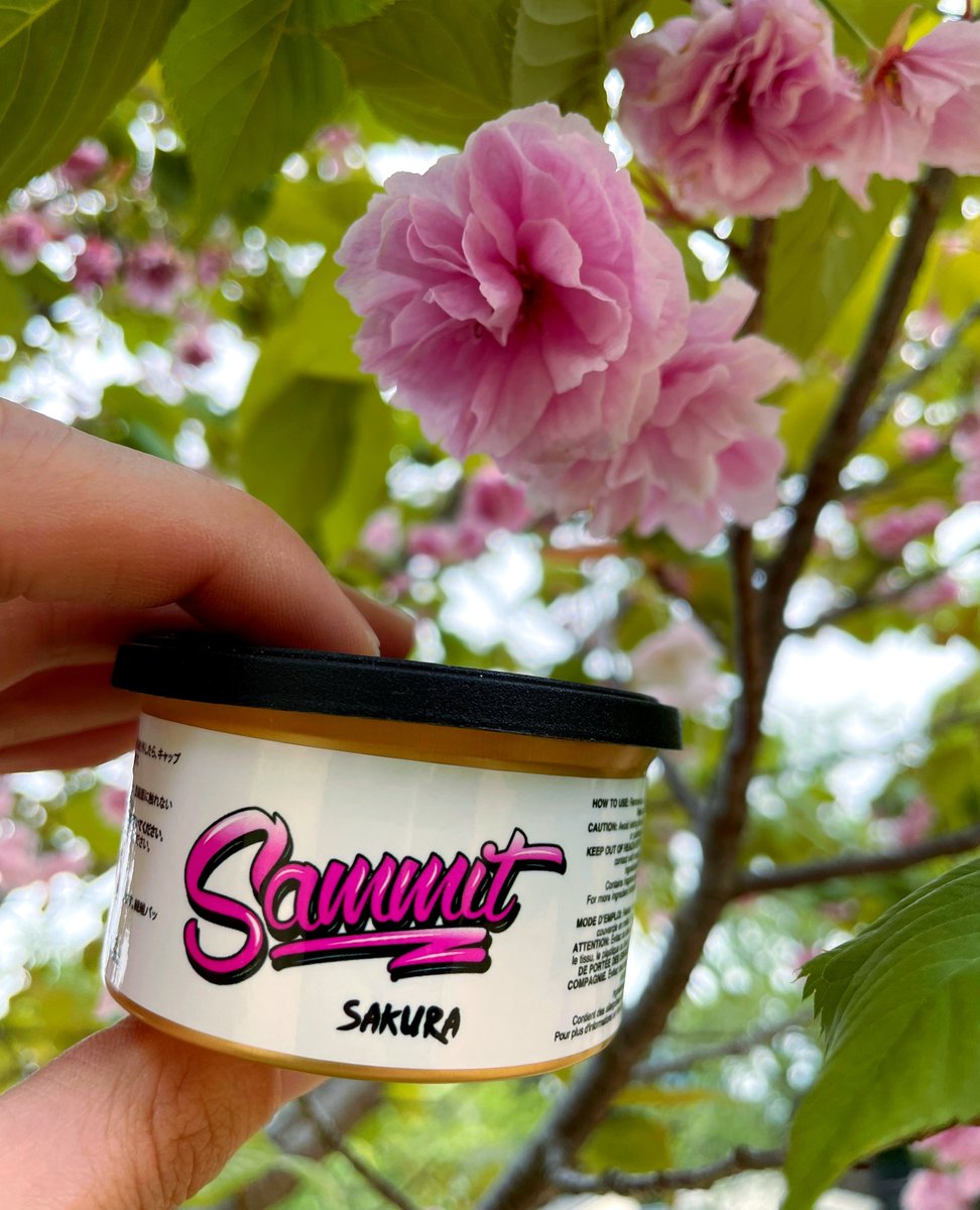dafskiofficial's tweet image. Get ready to add a pop of pink to your ride with our Can Air Freshener SAKURA Sammit Edition - restock soon!!!🌸🍃 A limited edition item like this sells out fast, so be sure to snag yours before it's gone!💕 Stay tuned!!😋✨l8r.it/1XJe #dafski #sammit #carfresheners