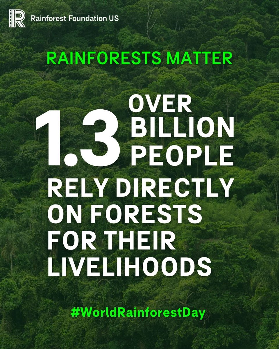 Rainforests matter🌳🍃 Join us in celebrating #WorldRainforestDay on June 22nd.
Rainforests support biodiversity, regulate our 🌎’s climate, and provide resources for communities worldwide. They’re vital to our very existence, yet they’re being decimated at alarming rates.