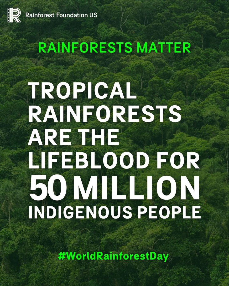 #RainforestsMatter
Tropical rainforests are the lifeblood for 50 million Indigenous people.

#WorldRainforestDay