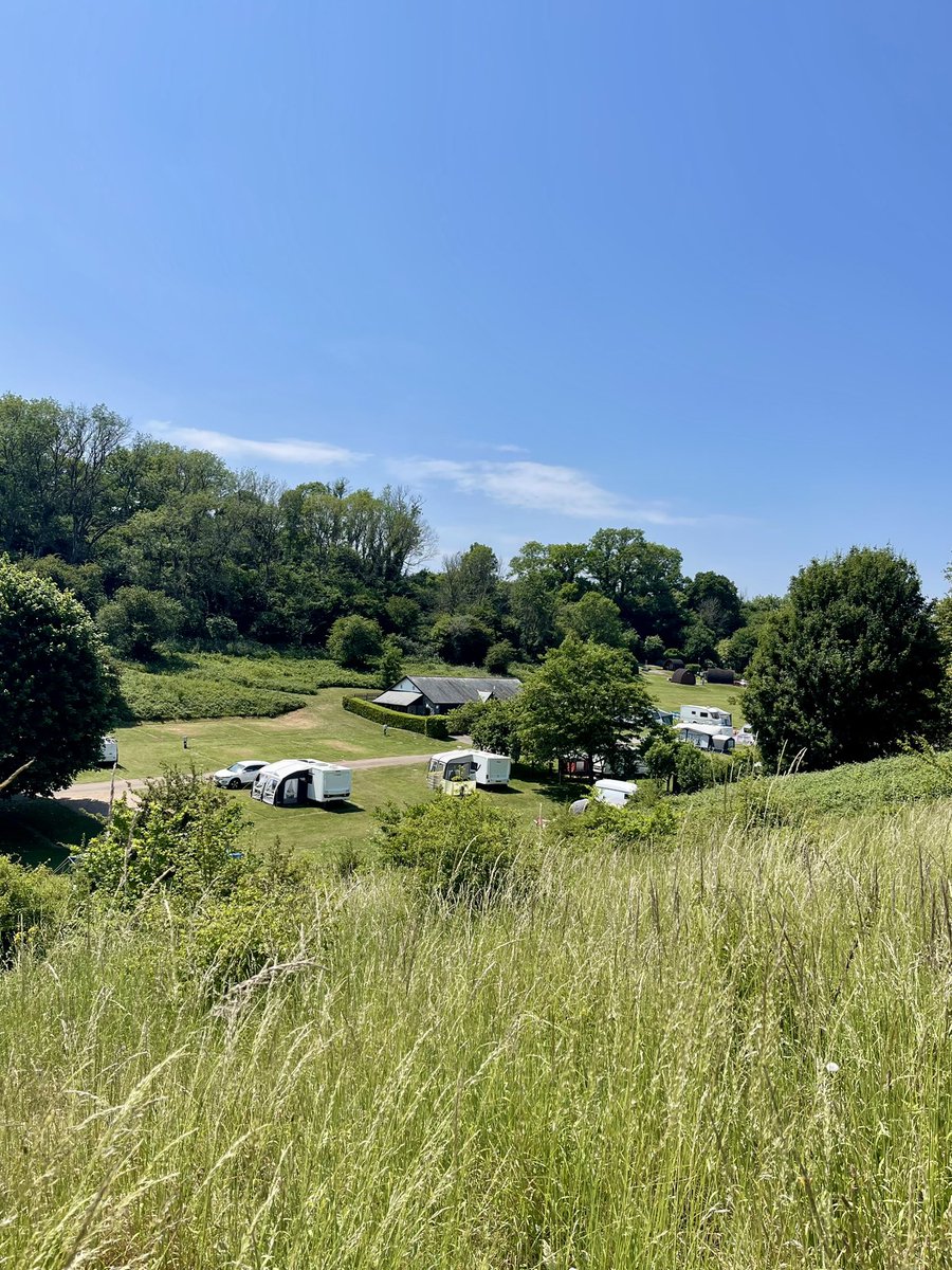 The sunshine is here to stay at Whitehill Country Park!⛺️🚐☀️
