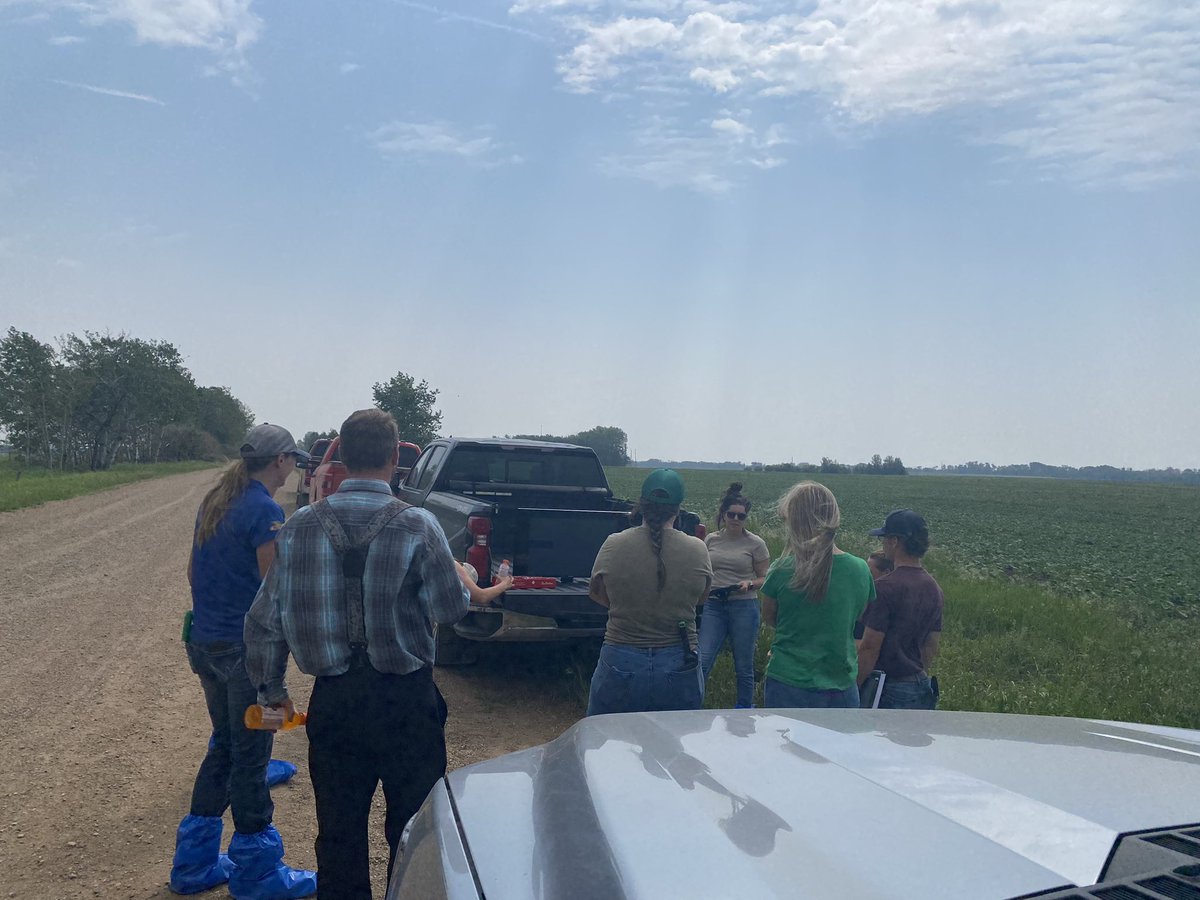 Our territory summer associates getting some hands on training with <a href="/FieldViewCanada/">FieldView Canada</a> this morning near Stettler! <a href="/Bayer4CropsCA/">Crop Science Canada</a> <a href="/DEKALB_Canada/">DEKALB Canada</a> #scout23 #westcdnag #ABag #yourlocaldata