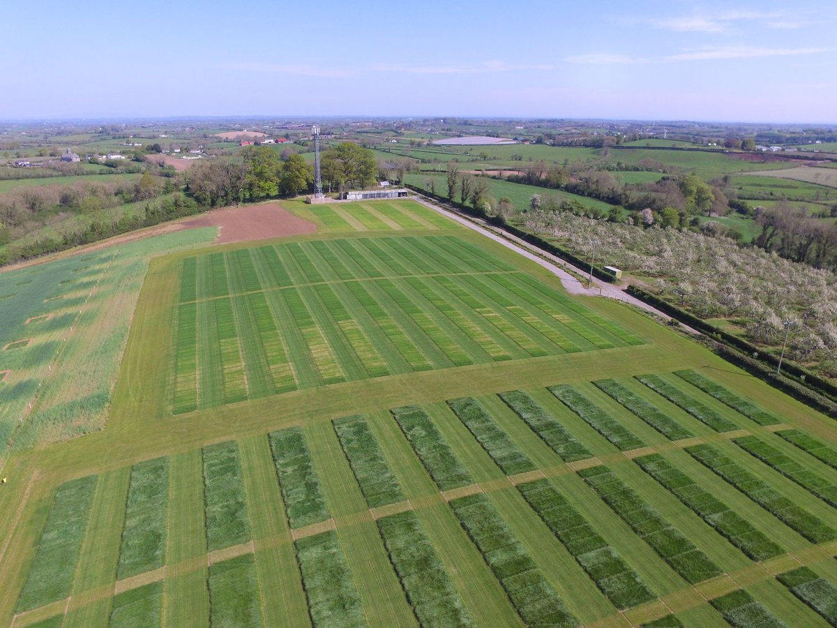 Join us at the AFBI Grass Open Day on 21 June at AFBI Loughgall! bit.ly/3p474Bl Enjoy a tour of grass variety and sward mixture plots and hear from researchers and industry reps presenting the latest research on grass varieties and sward mixtures bit.ly/3CpMgHp