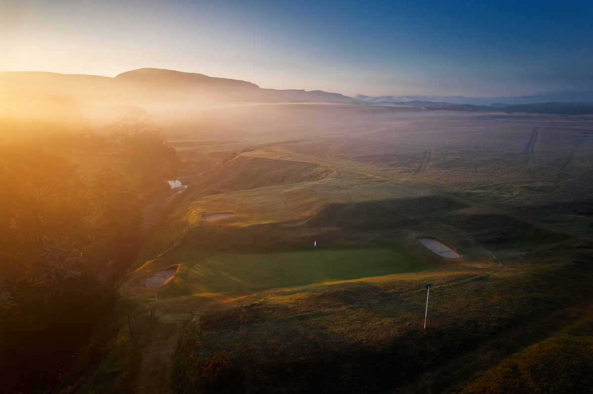 Joe Whitley tweet media