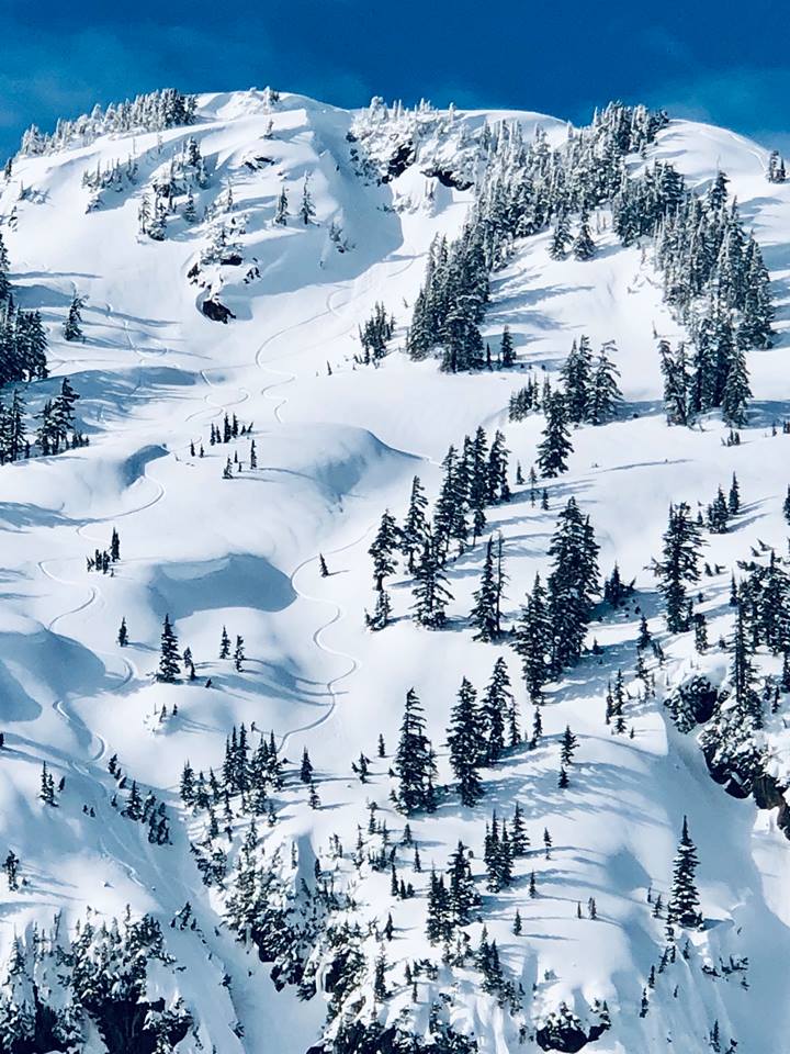 @scrapinearth @TheMikeSalk @BrockHuard @Maura_Dool @OnAirJustin Correctamundo, Good Sir

I grew up in Bellingham & my grandmother lived in Glacier at the base of Mount Baker.

That mountain means so much to me. It was a source of constant joy in my youth.

#MtBaker 🗻  #Outdoors

📷 My First Love