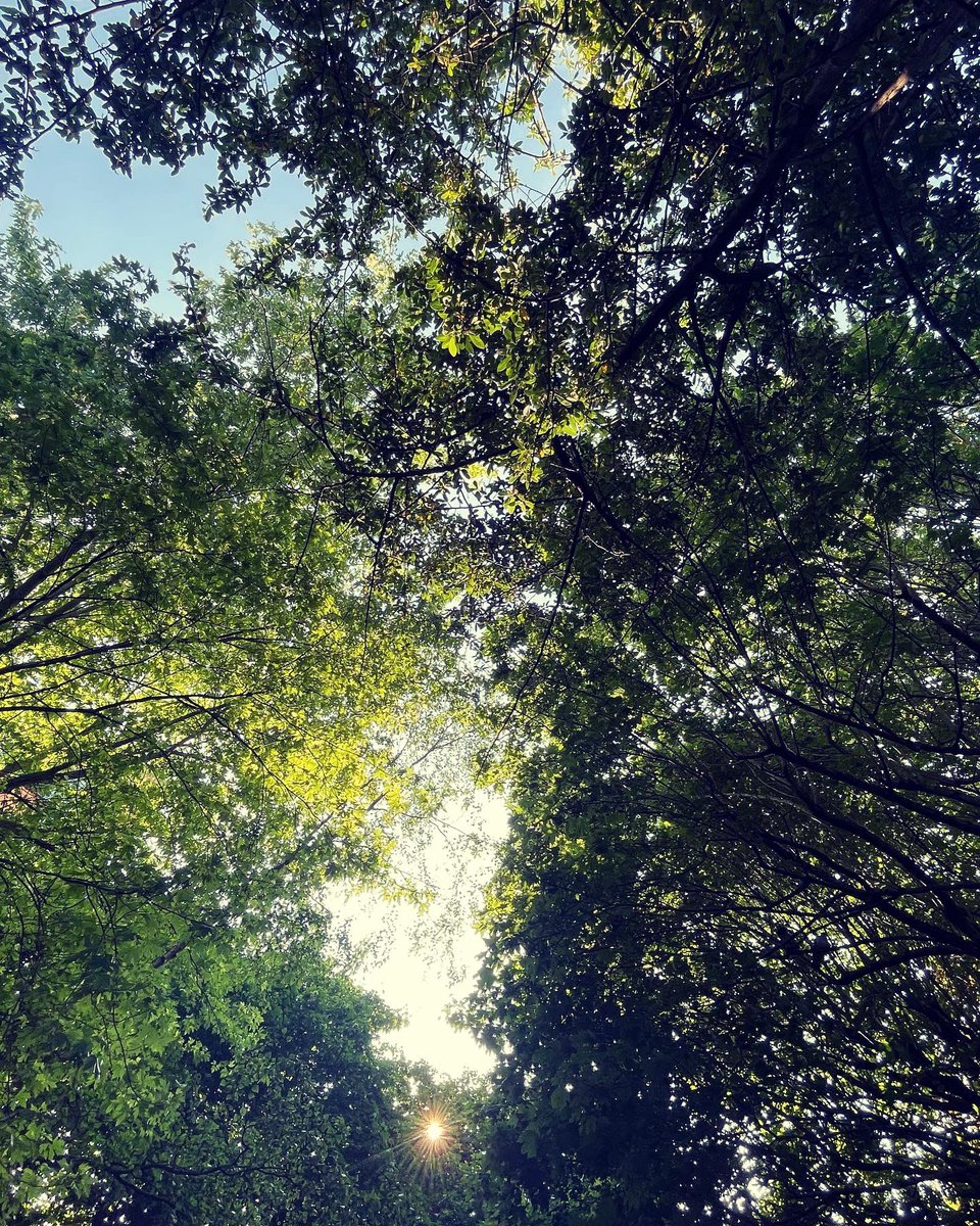 HarveyStans1's tweet image. Glorious weather for today’s travels with the Brompton! 
#bromptonbicycle #bromptonlife #sunshine #travelswithbrompton #photographer