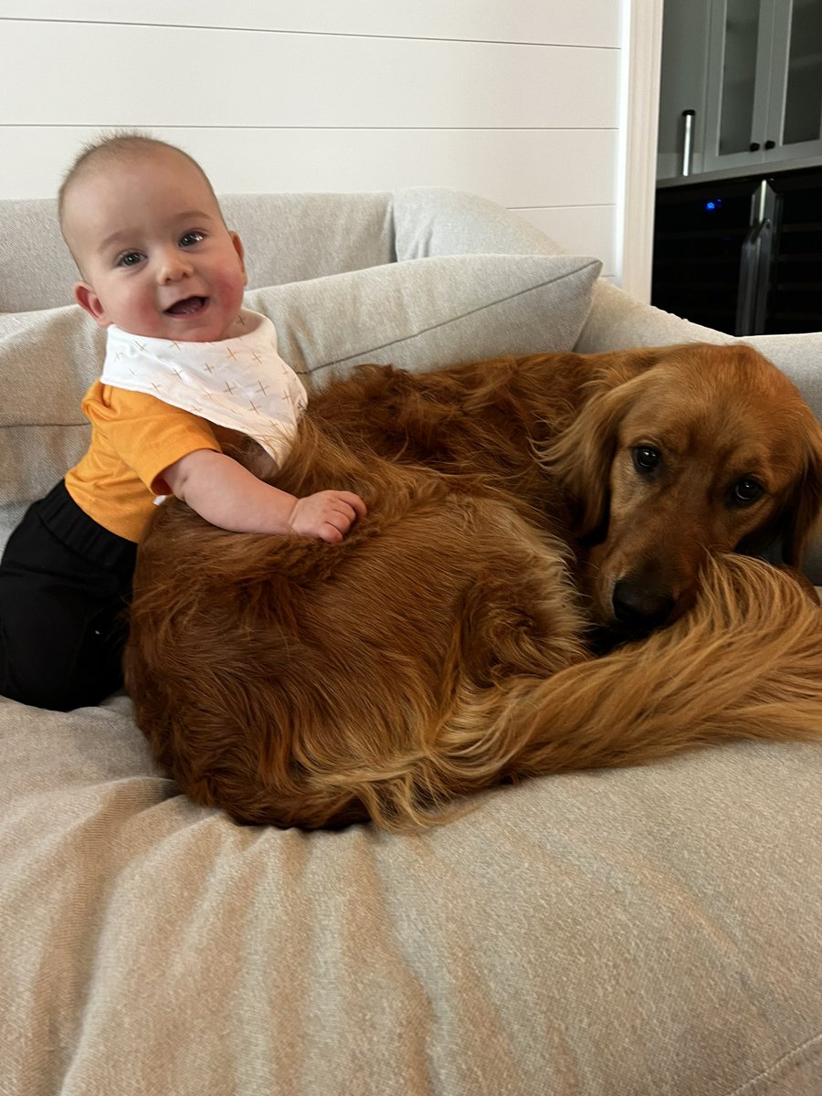 Very happy to wake up and see that <a href="/Vol_Baseball/">Tennessee Baseball</a> is going to the World Series 👏