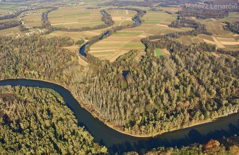 wwfnederland's tweet photo. “Nederlandse stem tegen natuurherstel is kortzichtig”. De natuur- en milieuorganisaties vinden ‘t zeer teleurstellend dat de @2eKamertweets een motie heeft aangenomen om tegen de natuurherstelwet te stemmen. Juist in Nederland is de noodzaak van natuurherstel enorm!#RestoreNature https://t.co/yGDMUYK3KS