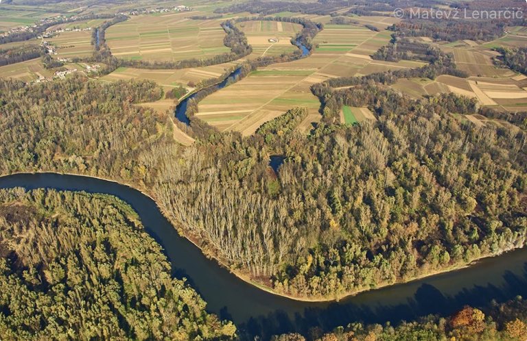 “Nederlandse stem tegen natuurherstel is kortzichtig”. De natuur- en milieuorganisaties vinden ‘t zeer teleurstellend dat de @2eKamertweets een motie heeft aangenomen om tegen de natuurherstelwet te stemmen. Juist in Nederland is de noodzaak van natuurherstel enorm!#RestoreNature