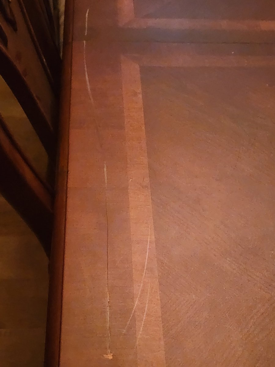 Lisa Michelle tweet media