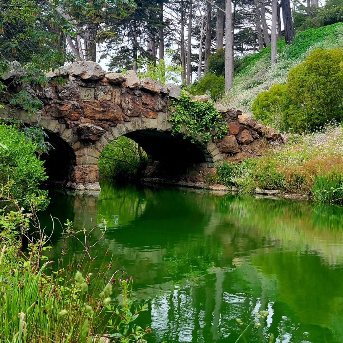 Troy Shinn tweet media