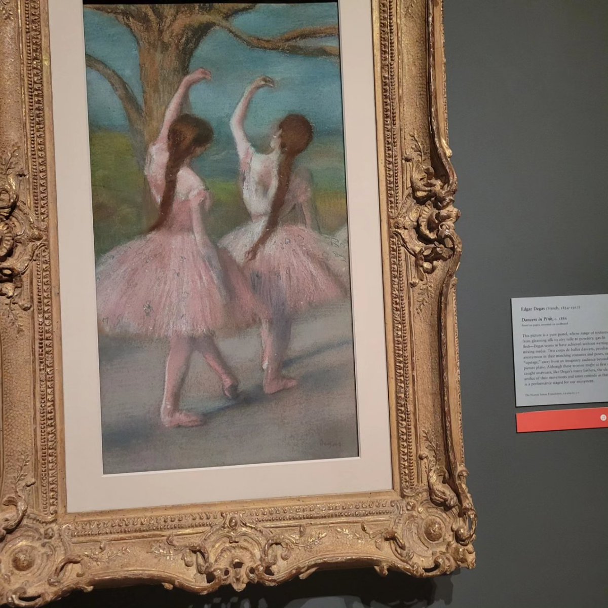 Troy Shinn tweet media