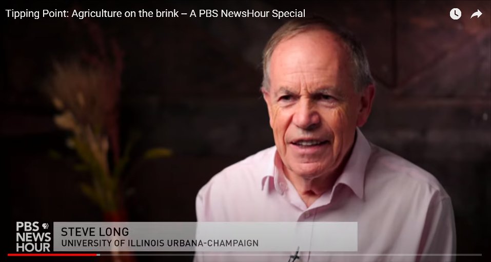 RIPEproject's tweet photo. #ICYMI, @NewsHour featured @LongLab &amp; @leakey77 in a recent episode, "Tipping Point: Agriculture on the Brink."

Check out @ACESIllinois' summary of the episode: https://t.co/NSJKg6nA7t or the full episode: https://t.co/NSJKg6nA7t https://t.co/VoBLDevKPL