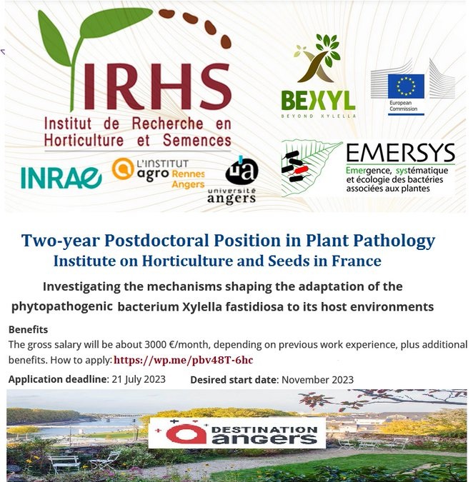 📌 Two-year Postdoctoral Position in Plant Pathology (Xylella fastidiosa) at Institute on Horticulture and Seeds in France 🇫🇷... Please retweet and spread the word! For details visit: wp.me/pbv48T-6hc