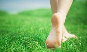 _hydrasmart's tweet image. Walking through the grass barefoot, is a simple yet nourishing practice. It not only enables you to relate to the natural energy of the earth but also helps to ground you, center you and clear your mind of negativity. Shouldn&apos;t your grass be nourished and healthy too? #hydrasmart