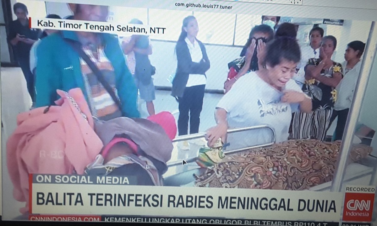 kurniadji97's tweet image. #wabah #KLB  #rabies
@KemenkesRI 
@jokowi 
@KSPgoid 
@CNNIndonesia 
@MetroTVNewsRoom