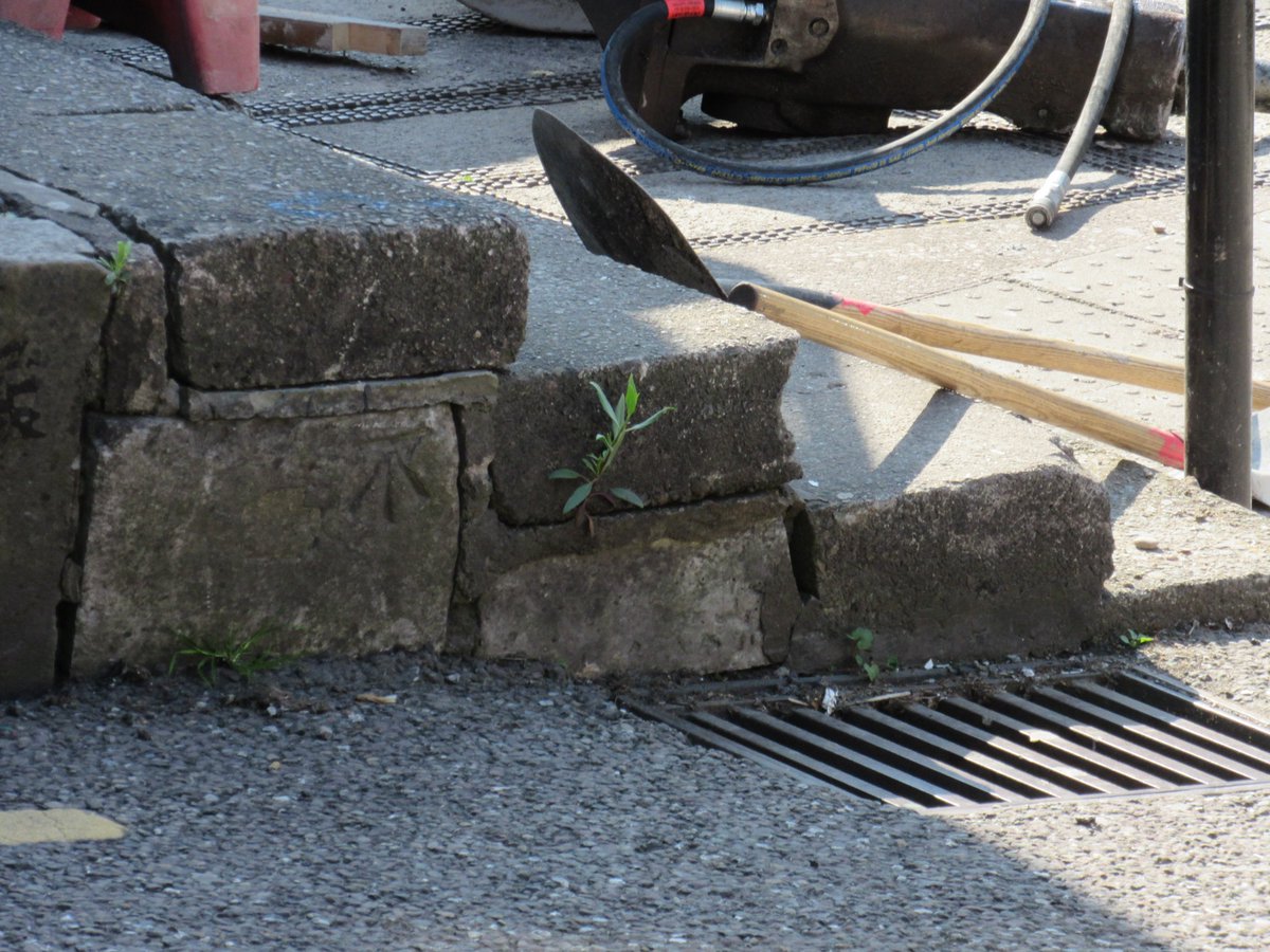 SignsTheReading's tweet photo. And there it was - gone

Looks like the old benchmark has lost out to the public realm works on MacCurtain St/Patrick's Hill, #Cork 

https://t.co/XEiOfRFHFB https://t.co/xMR8EMotzy