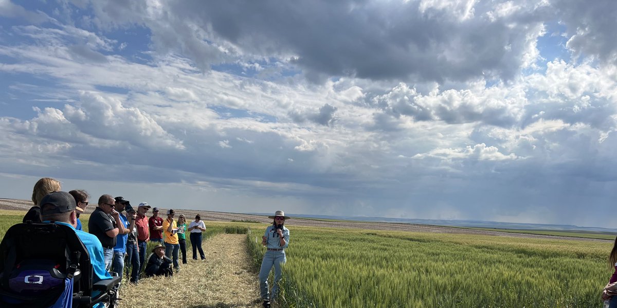 Nathan Rea tweet media