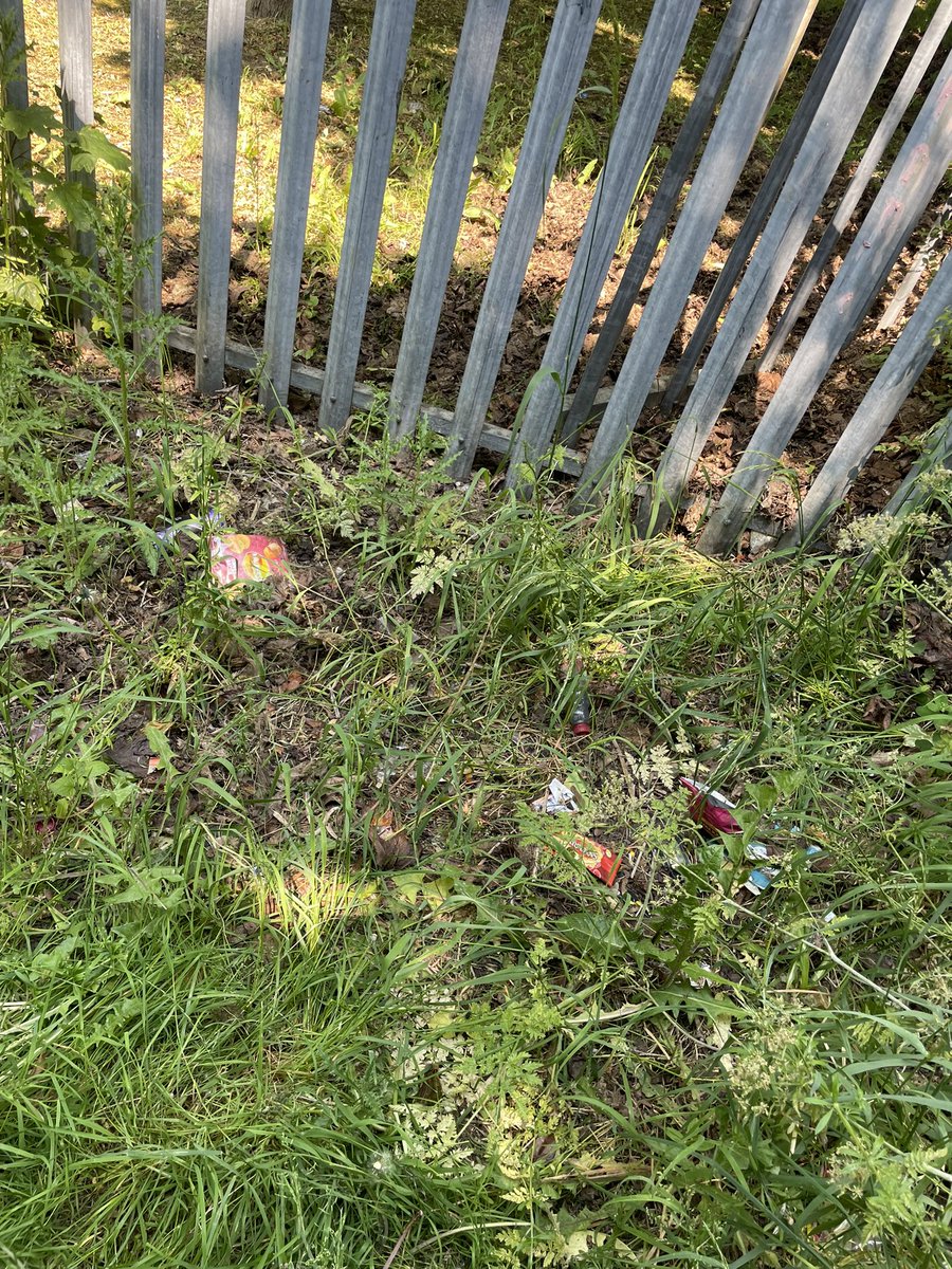 AstreaTheHill's tweet photo. Y5 have enjoyed their local walk to collect quantitive data on the amount of litter in the area. #localstudy #Geography @PKCKST https://t.co/8kxf7PFFwC