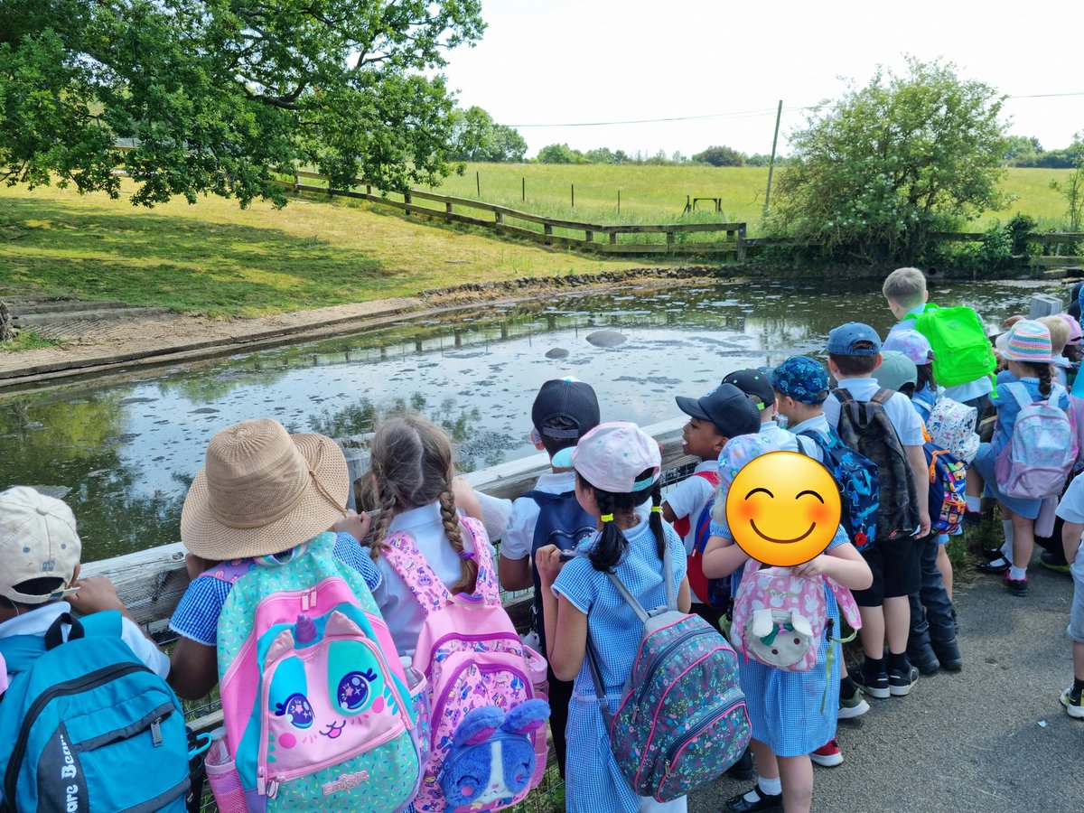 MrsCheungBF's tweet photo. Year 1 at Whipsnade Zoo.

@HeadBeechfield 
@MissMortlock @MissSpenceBF @BFS_Watford https://t.co/EpBVX9KZUS