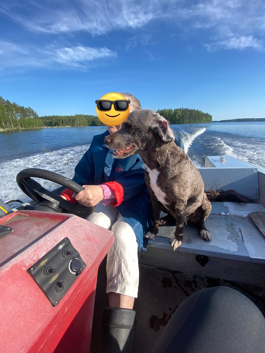 Aattelin vaan kertoo, että oon nyt mummin kanssa lomalla!! 😎

#saimaa #vesikoira