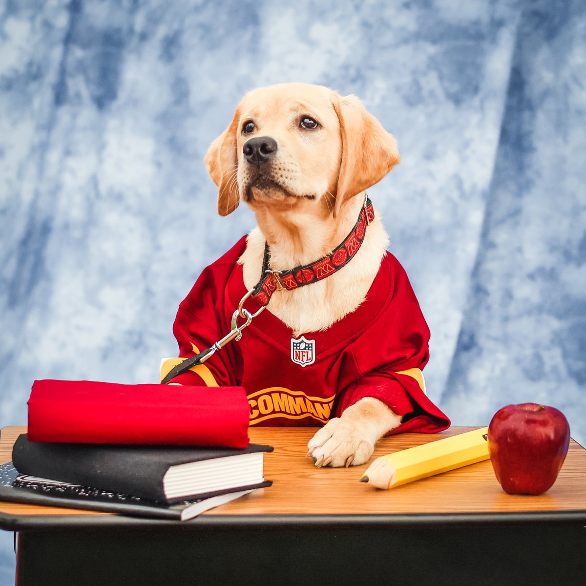 Washington Commanders tweet media