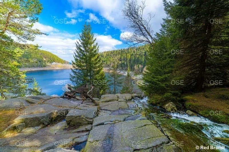 OuSortirEn's tweet photo. 😍 Randonnée au Lac Noir dans les Vosges !
Belle randonnée 🚶🏻♀️à prévoir, pour admirer le Lac Noir qui bénéficie d'un panorama sublime , mélangeant forêt, cascade et rochers…
> https://t.co/GLOo3ArYFX
© Red Brant
#lac #vosges #visite #lorraine #alsace #ousortiren #quefaireen https://t.co/iE4Jxfobgq