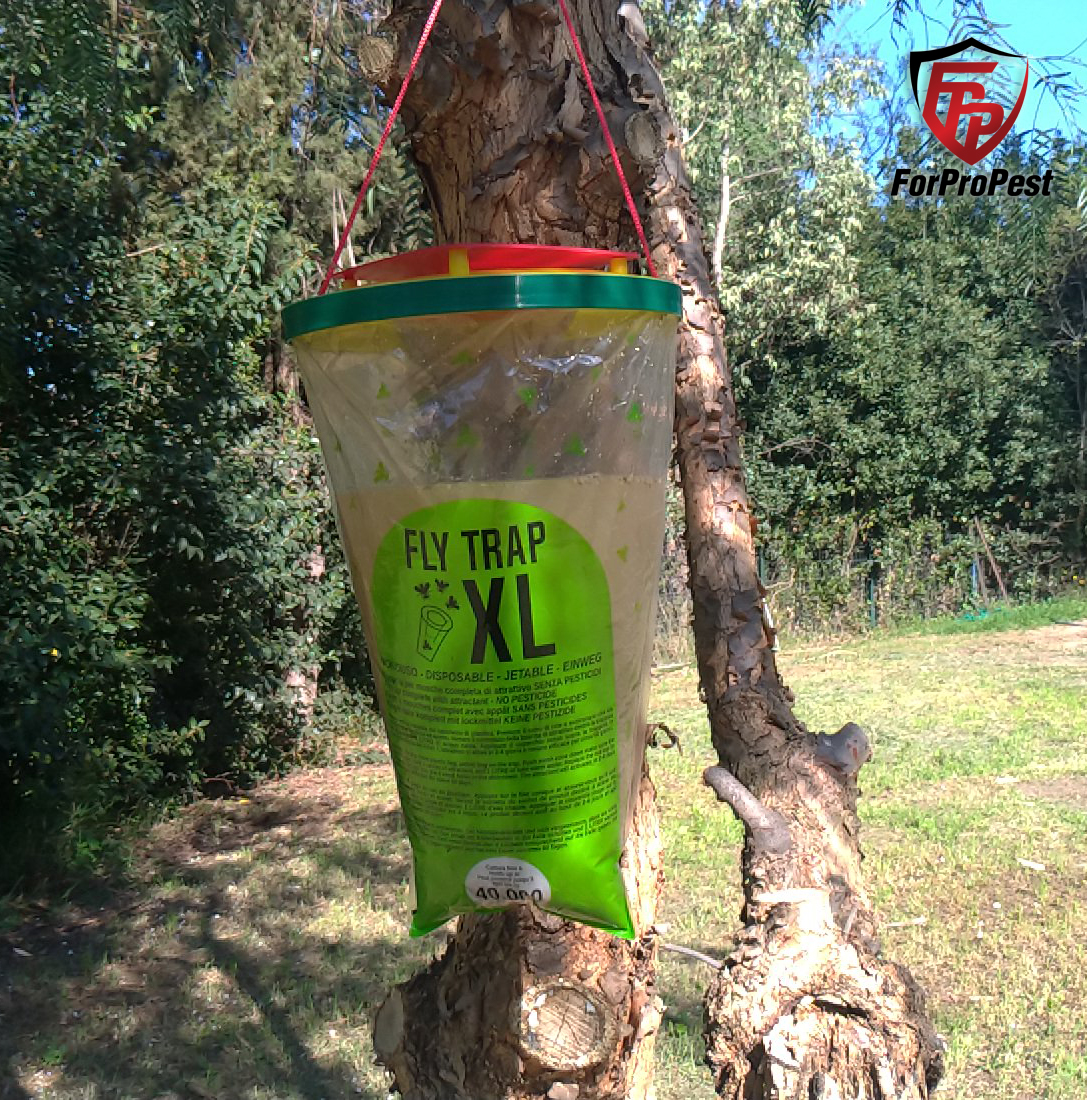 pest_for's tweet photo. Trappola ecologica per Mosche FlyTrap XL
Le trappole ecologiche Fly Trap sono un modo semplice ed efficace per eliminare le mosche negli ambienti sensibili all'infestazione.

🛒 https://t.co/o9lDIKRS6w

🎥 https://t.co/ZmYtgqO5xH

#mosche #ecologico #PestControl https://t.co/GeBouOKpu1