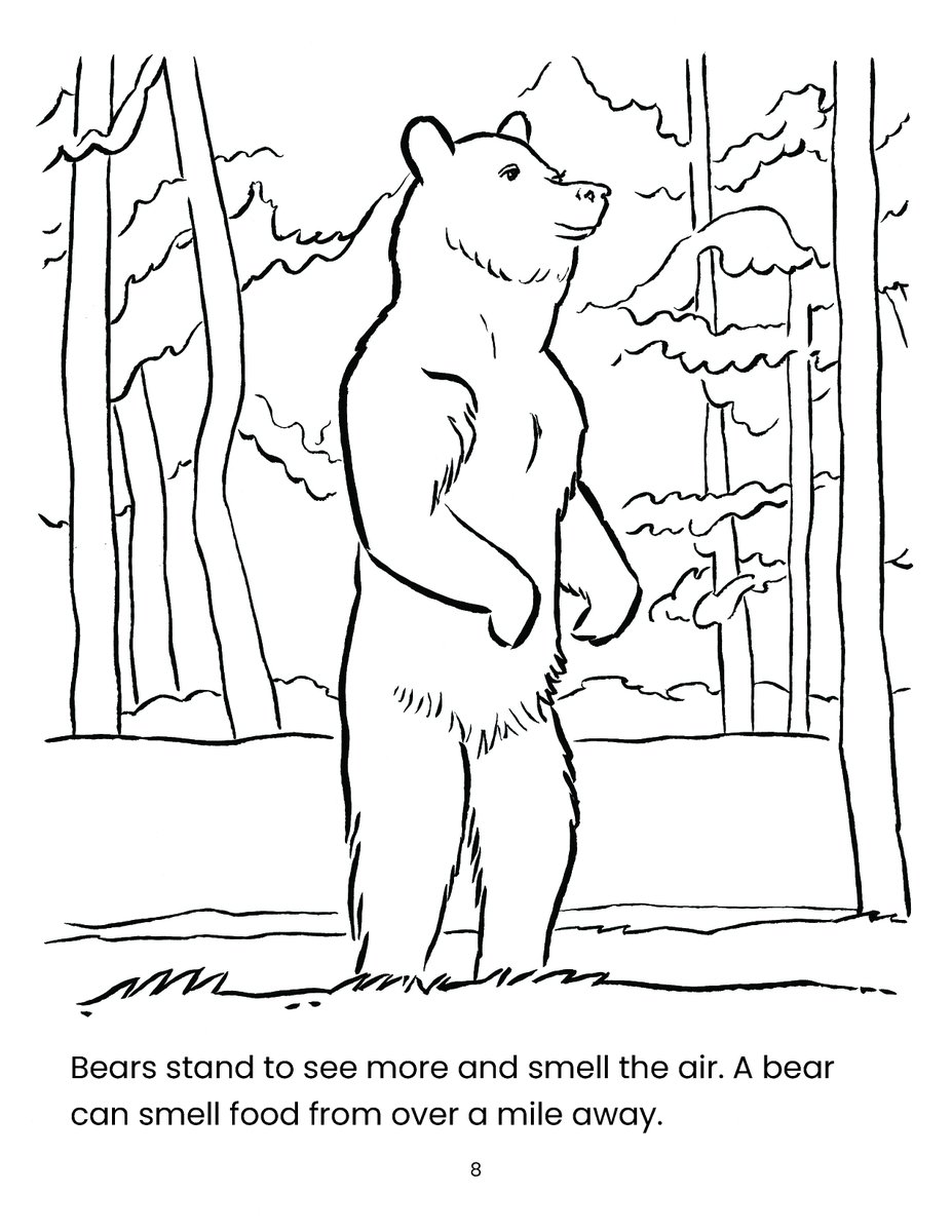 BearTrust's tweet image. Bears in the Wild World: Coloring Book is available today for free download. Print and color your favorite pages, then submit your art to be featured on the Cub Corner page!

Download the PDF:
beartrust.org/copy-of-studen… #ColoringForRelaxation #coloringbook #coloring #conservation