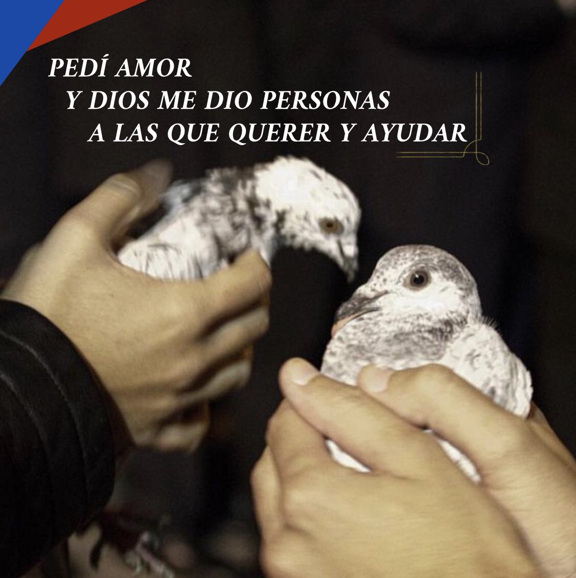 hermandadevida's tweet photo. “No hay amor más grande”❤️ https://t.co/guqzUUUFJV