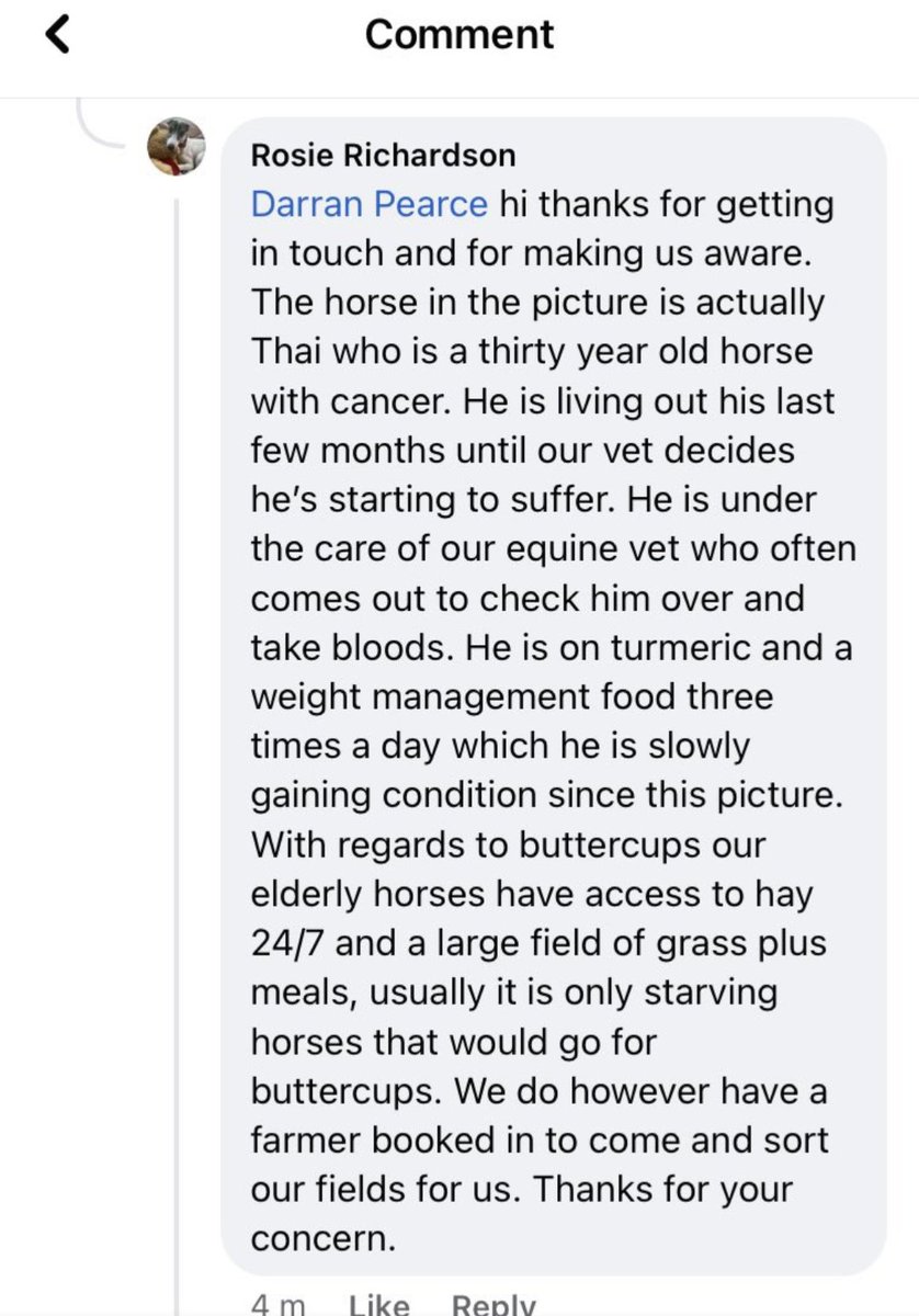 HorseyJack tweet media