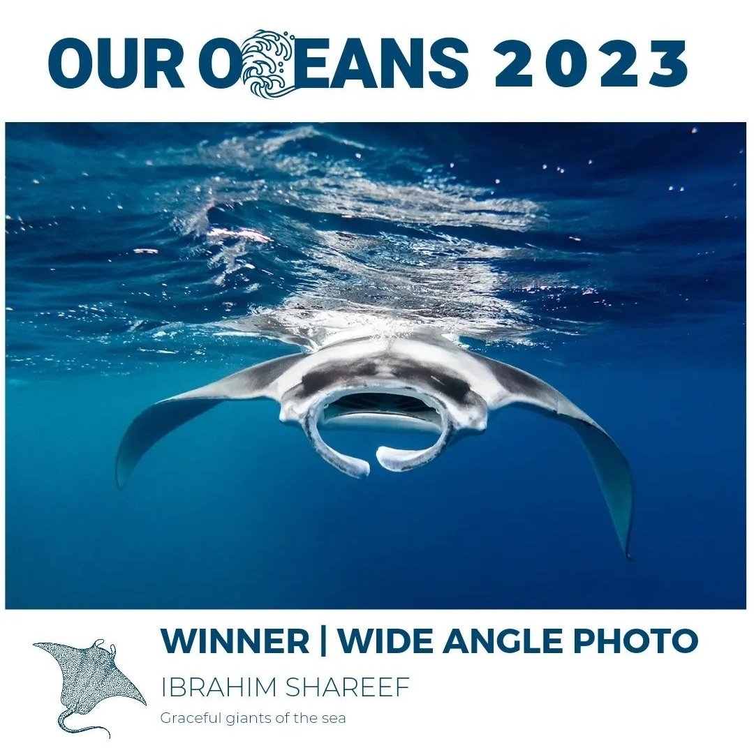 Winner, Wide Angle category of "Maldives - Our Oceans 2023" Underwater photography competition.

Congratulations <a href="/oxibbe/">Ibbe</a> !!!

<a href="/fourth_element/">fourth element</a> <a href="/visitmaldives/">Visit Maldives</a> <a href="/SwissD1VER/">Swiss D1VER Watch</a>