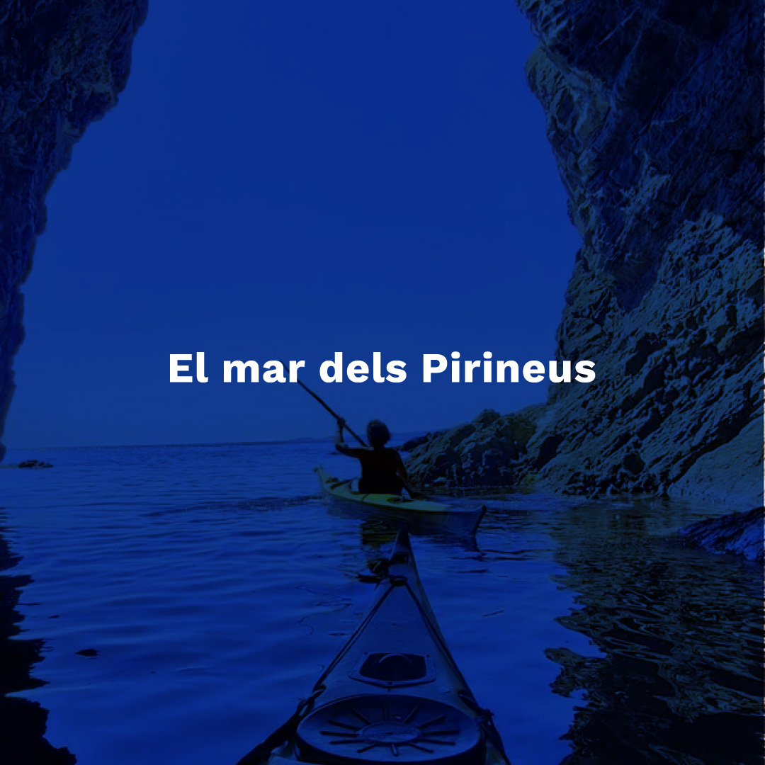 SplashComunica's tweet photo. 🌊💫 "El Mar dels Pirineus" és molt més que un simple claim per a Portbou. És una descripció que encaixa a la perfecció amb els trets superlatius d'aquesta petita destinació de la Costa Brava. 🏖️🏔️
#ElMarDelsPirineus #Portbou #CostaBrava #claim #teamsplash https://t.co/v1SWwz8Hj1