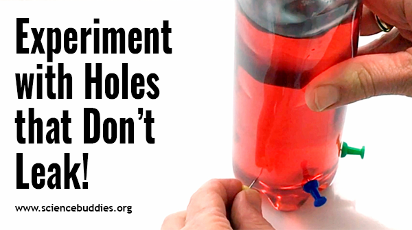 ScienceBuddies's tweet image. What happens when you poke holes in a bottle filled with water? You might be surprised! Try this #STEM activity to explore holes that don’t leak!

sbgo.org/holes23-tw
#summerscience #scienceactivity